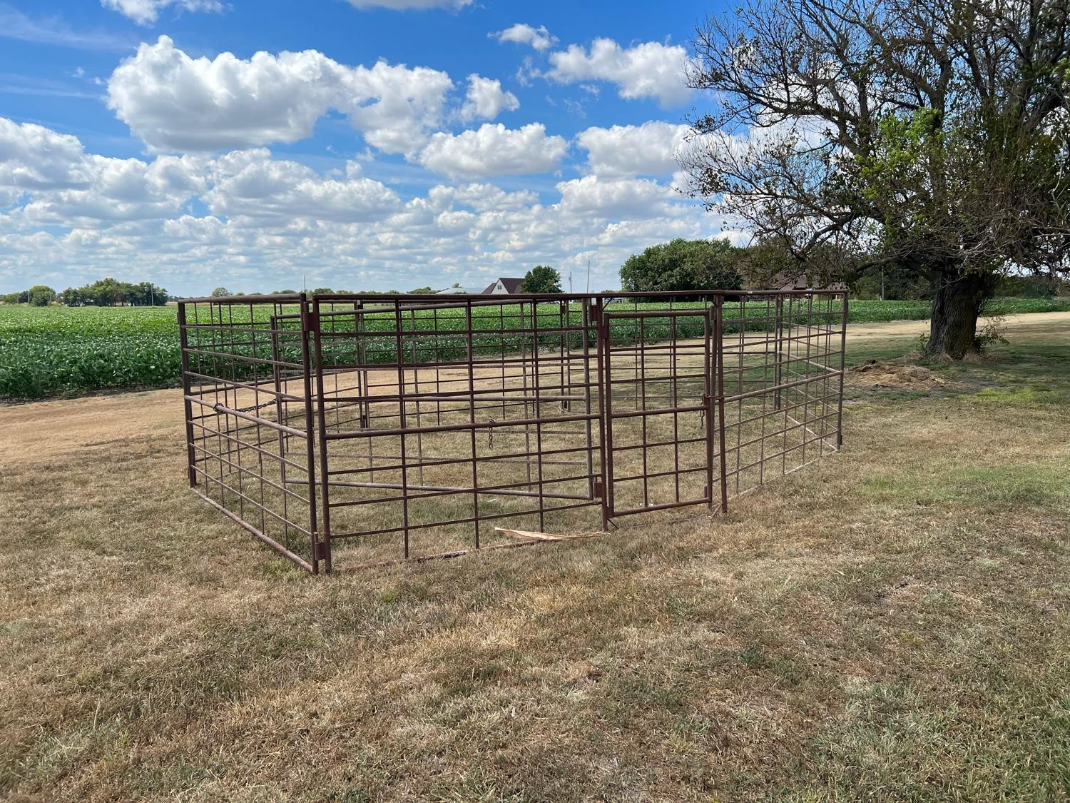 Livestock Sorting Pen BigIron Auctions