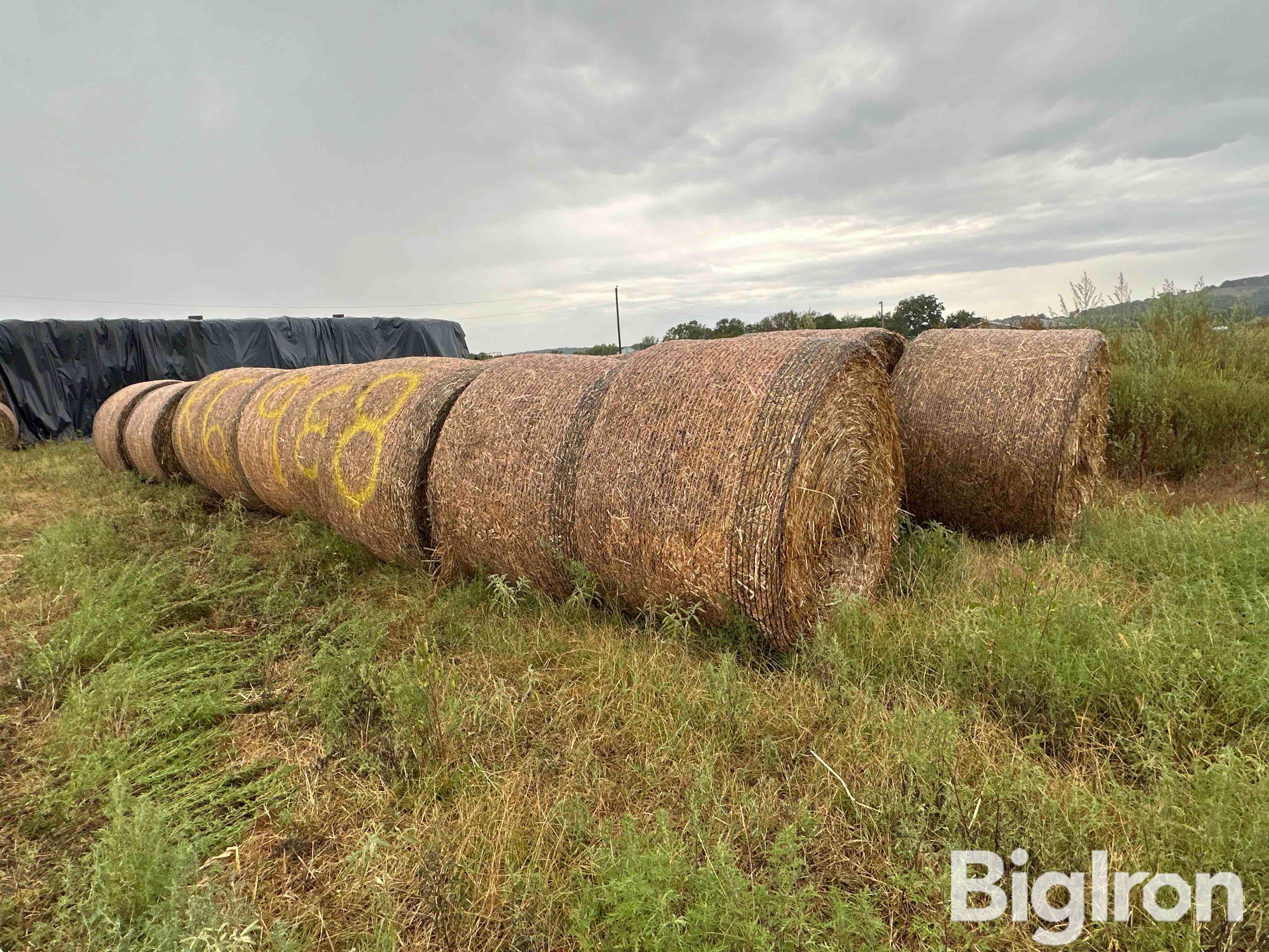 2023 Sudan Grass Hay BigIron Auctions