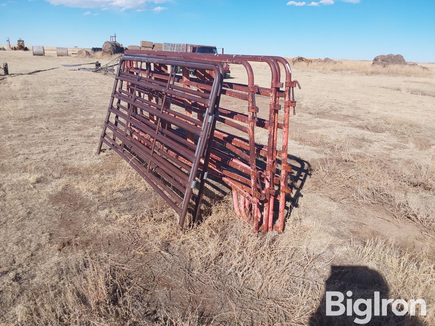 Cattle Panels BigIron Auctions