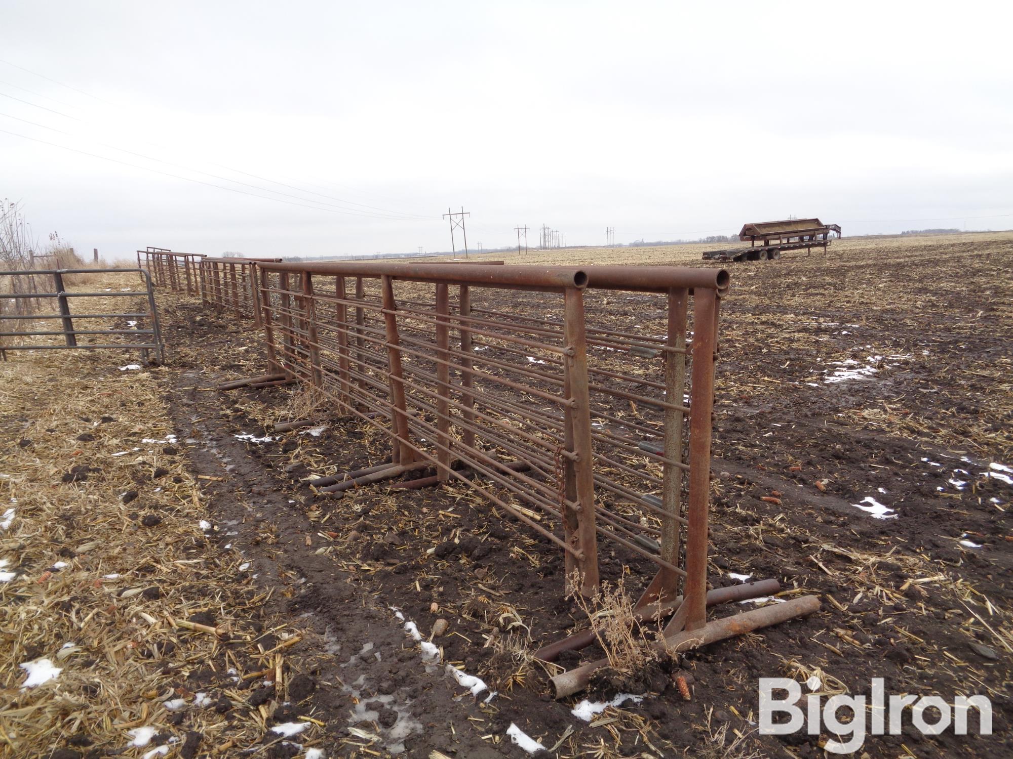 Freestanding 24' Steel Livestock Panels BigIron Auctions