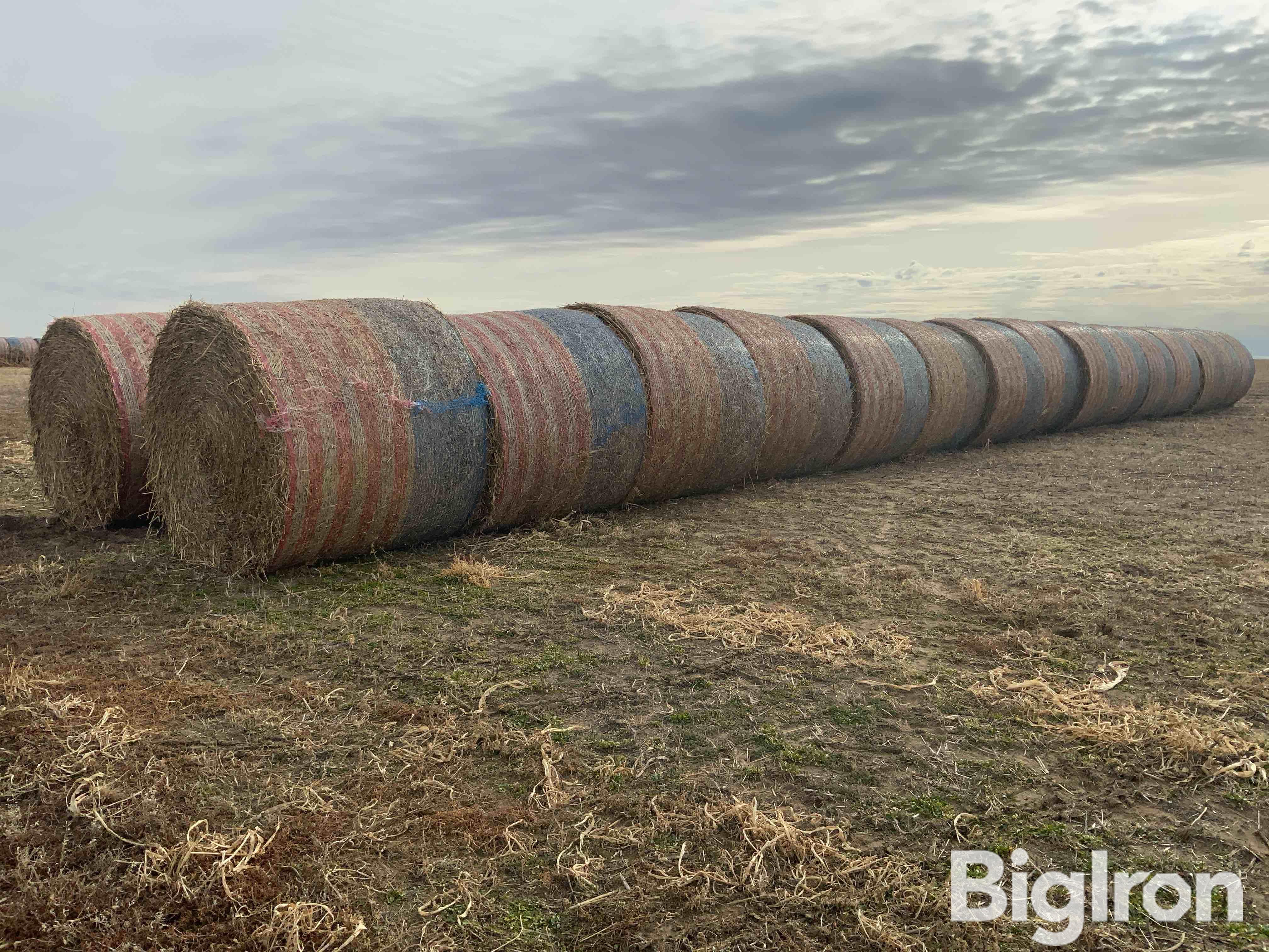 Cane Bales BigIron Auctions