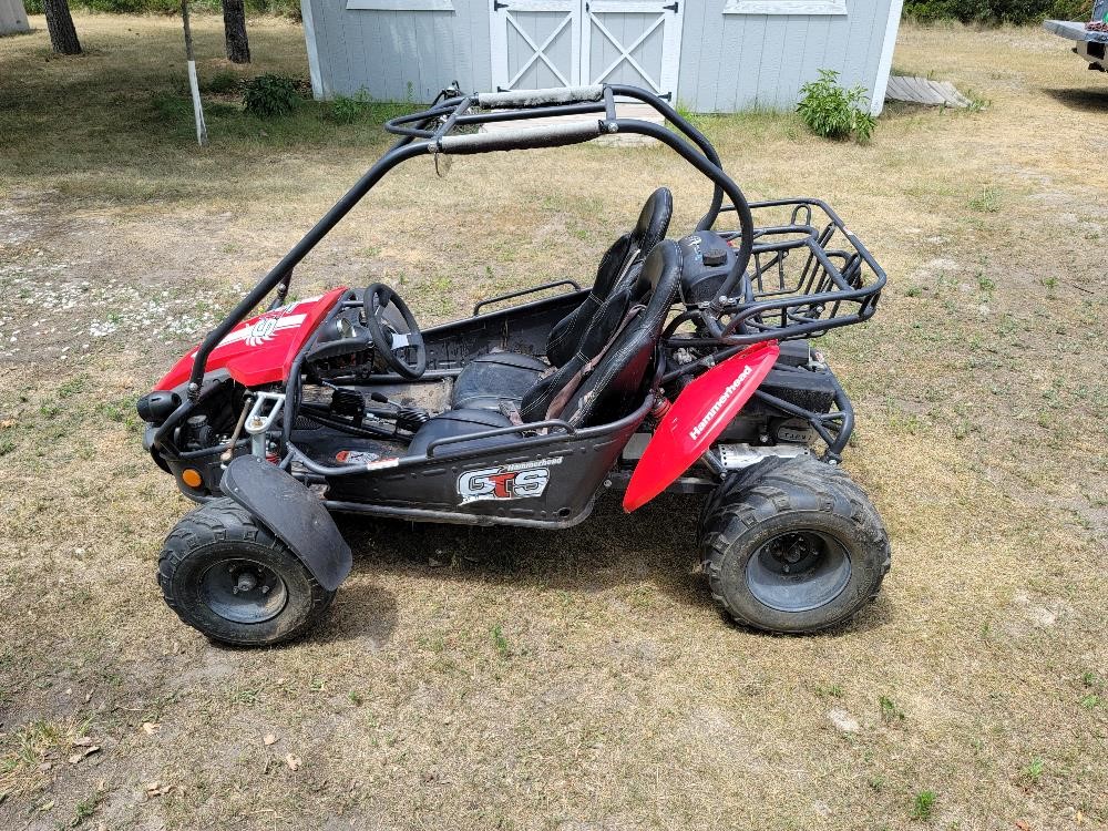 2010 Hammerhead GTS150R Dune Buggy/Go Kart BigIron Auctions