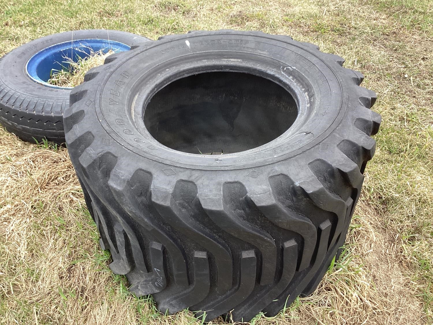 Goodyear Super Terra Grip 42X25.00 20 NTS Tire BigIron Auctions