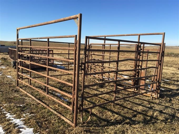 Calving Pen w/ Head Gate BigIron Auctions