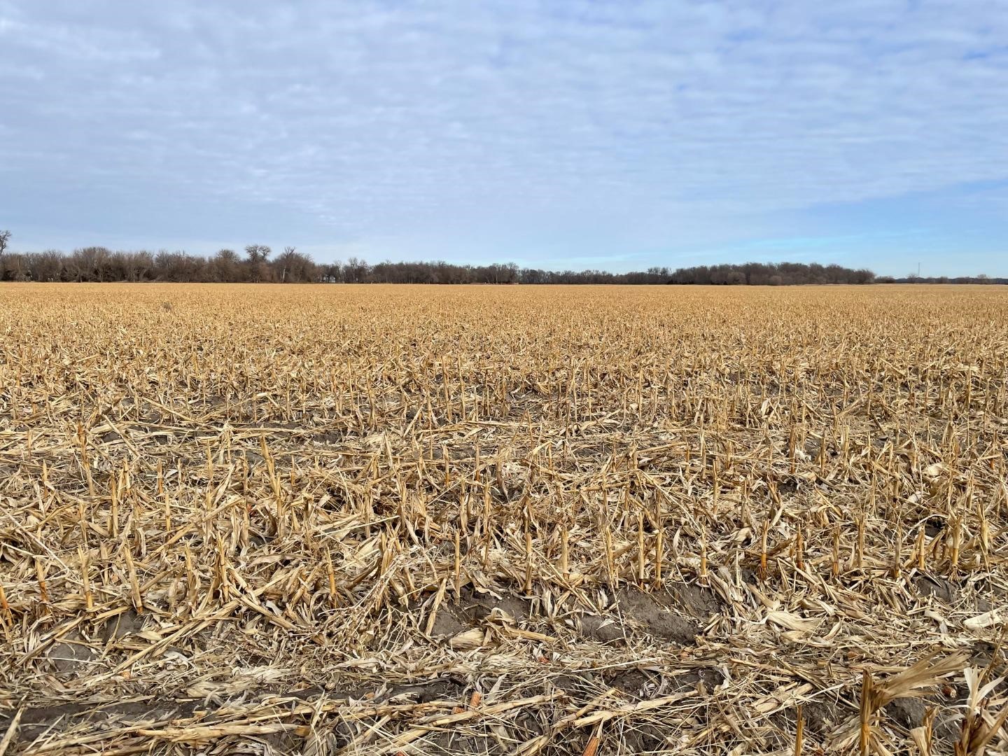 Tract 1: 66.88+/- Acres Hall County, NE BigIron Auctions