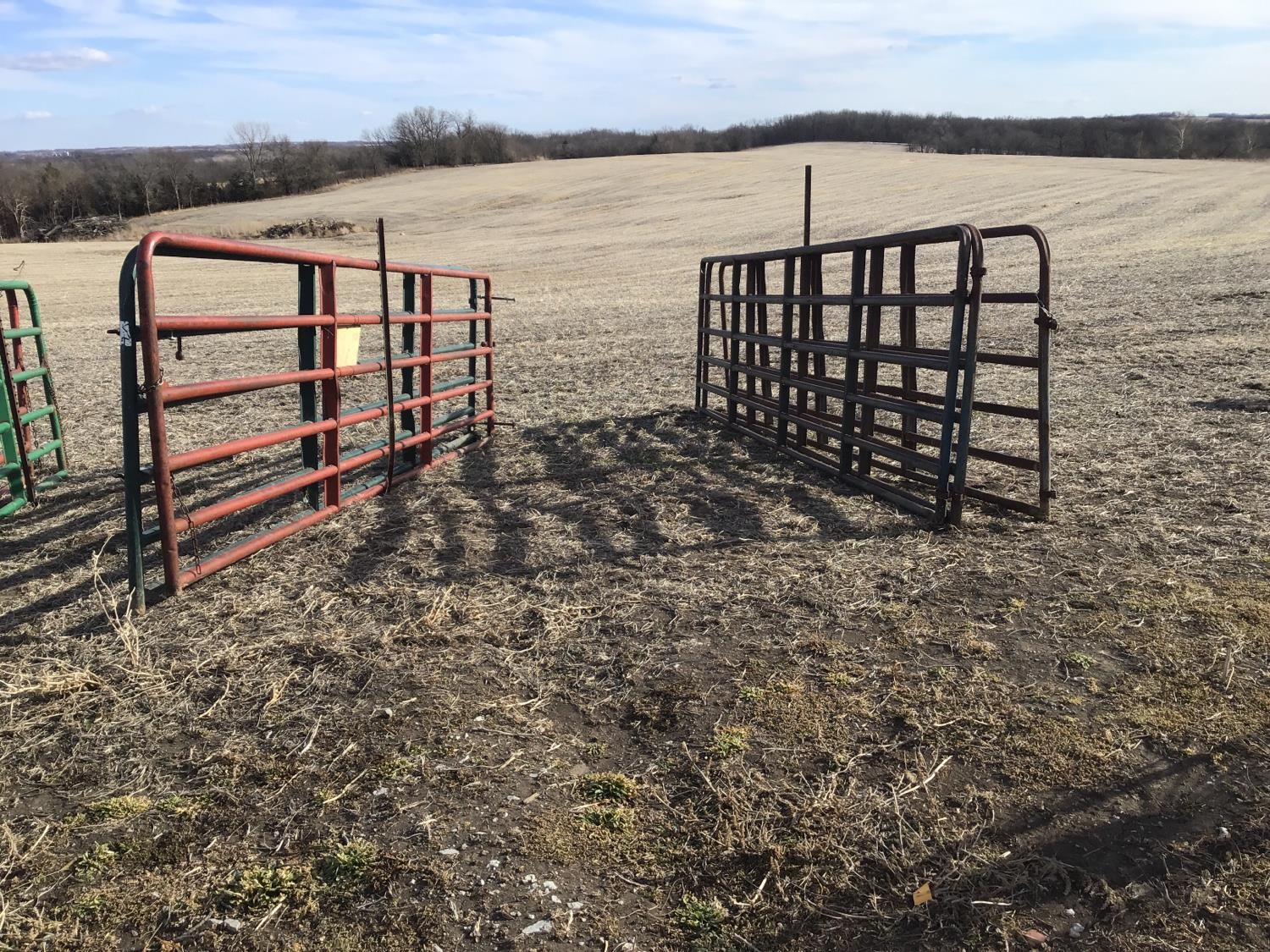 16’ Steel Cattle Gates BigIron Auctions