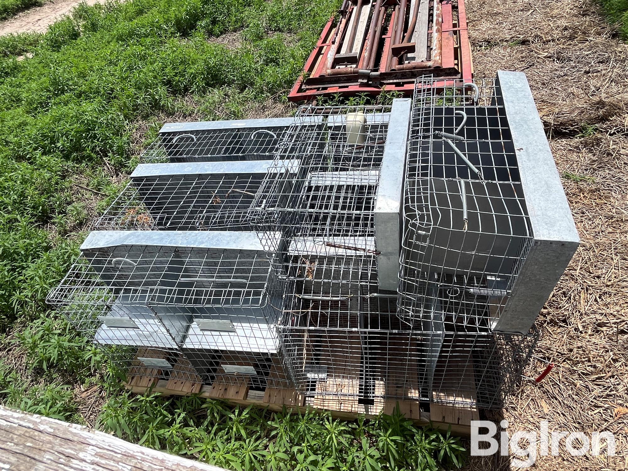 Small Animal Cages BigIron Auctions