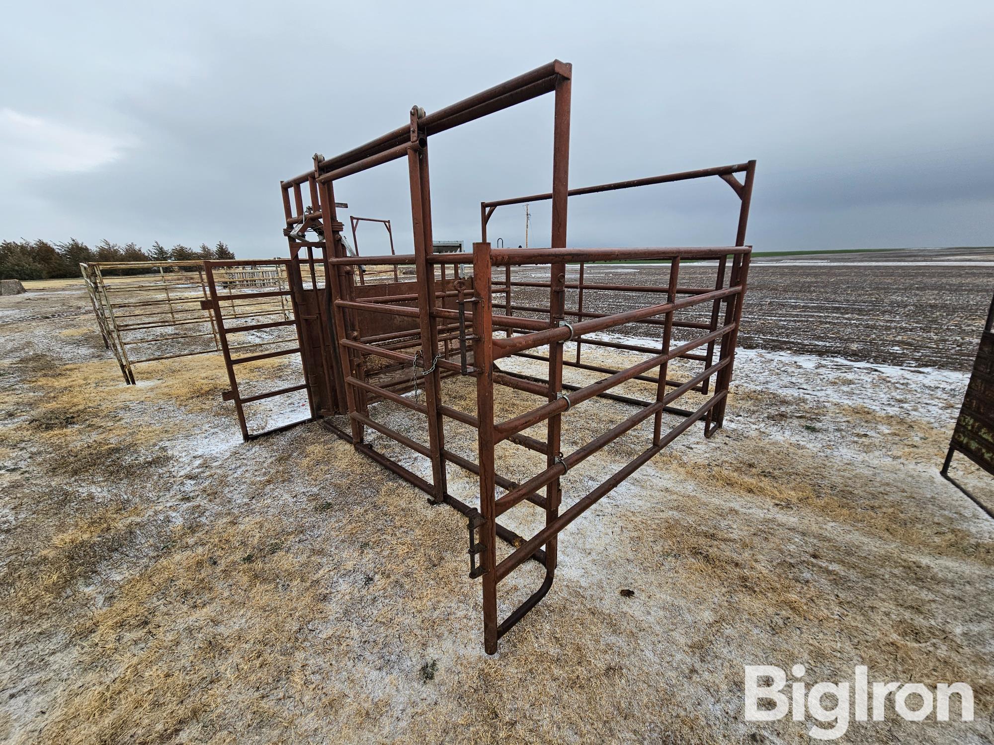 HiQual Calving Pen BigIron Auctions