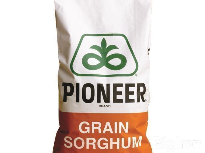 3 Bags Of Pioneer Sorghum Seed BigIron Auctions