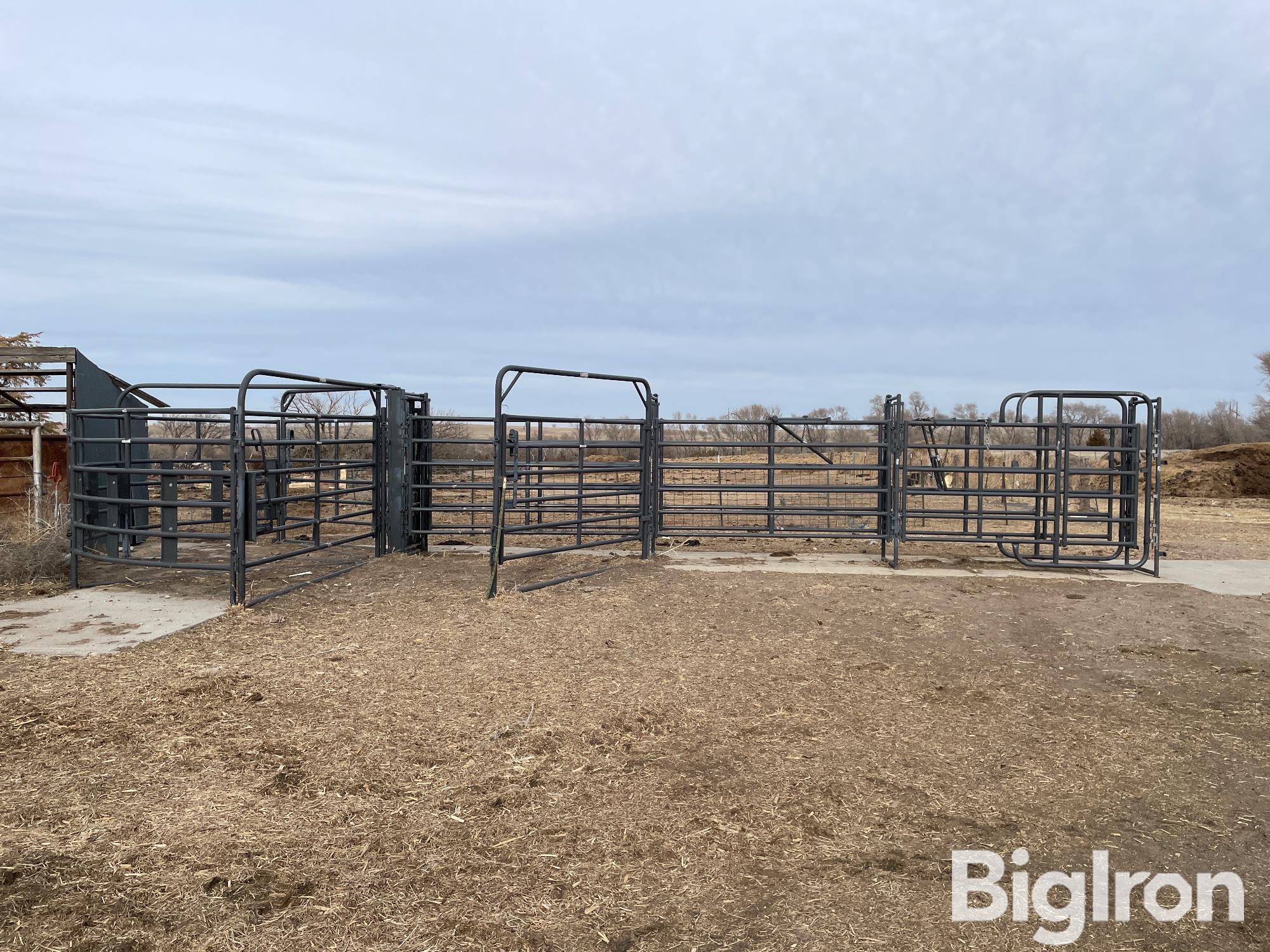 Priefert Cattle Working Sweep Tub & Alley BigIron Auctions