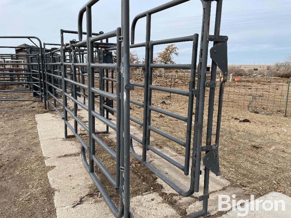 Priefert Cattle Working Sweep Tub & Alley BigIron Auctions