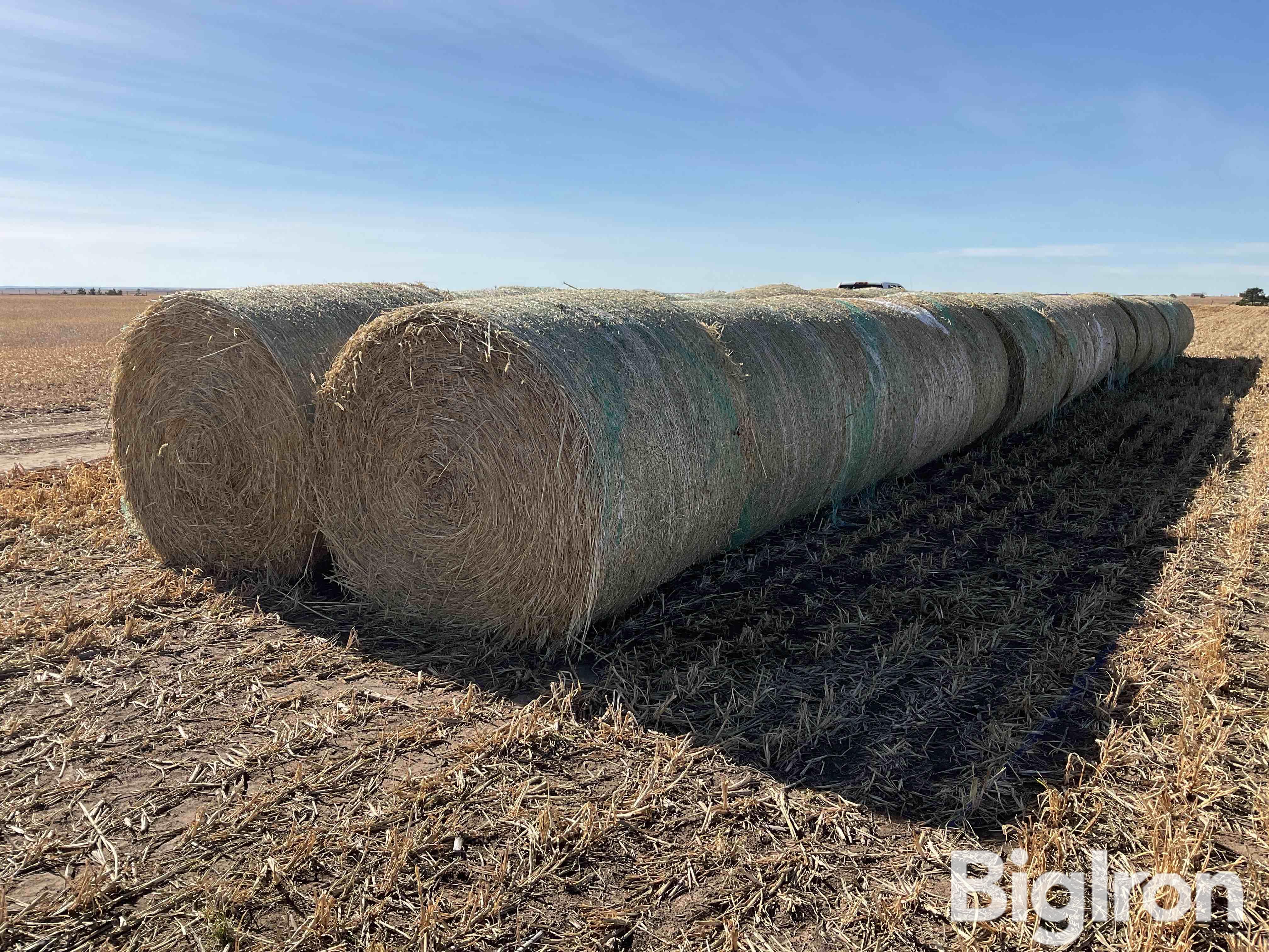 Millet (Forage) Hay Big Round Bales BigIron Auctions