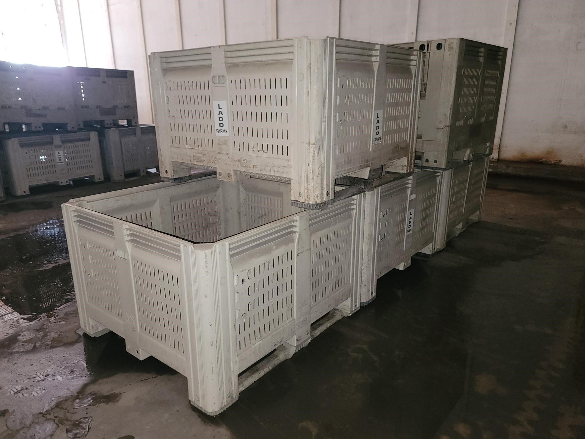 Plastic Vegetable Bins BigIron Auctions   Plasticvegetablebin 5 7f437d5c9b6a40e7a4b3ba151396c274 