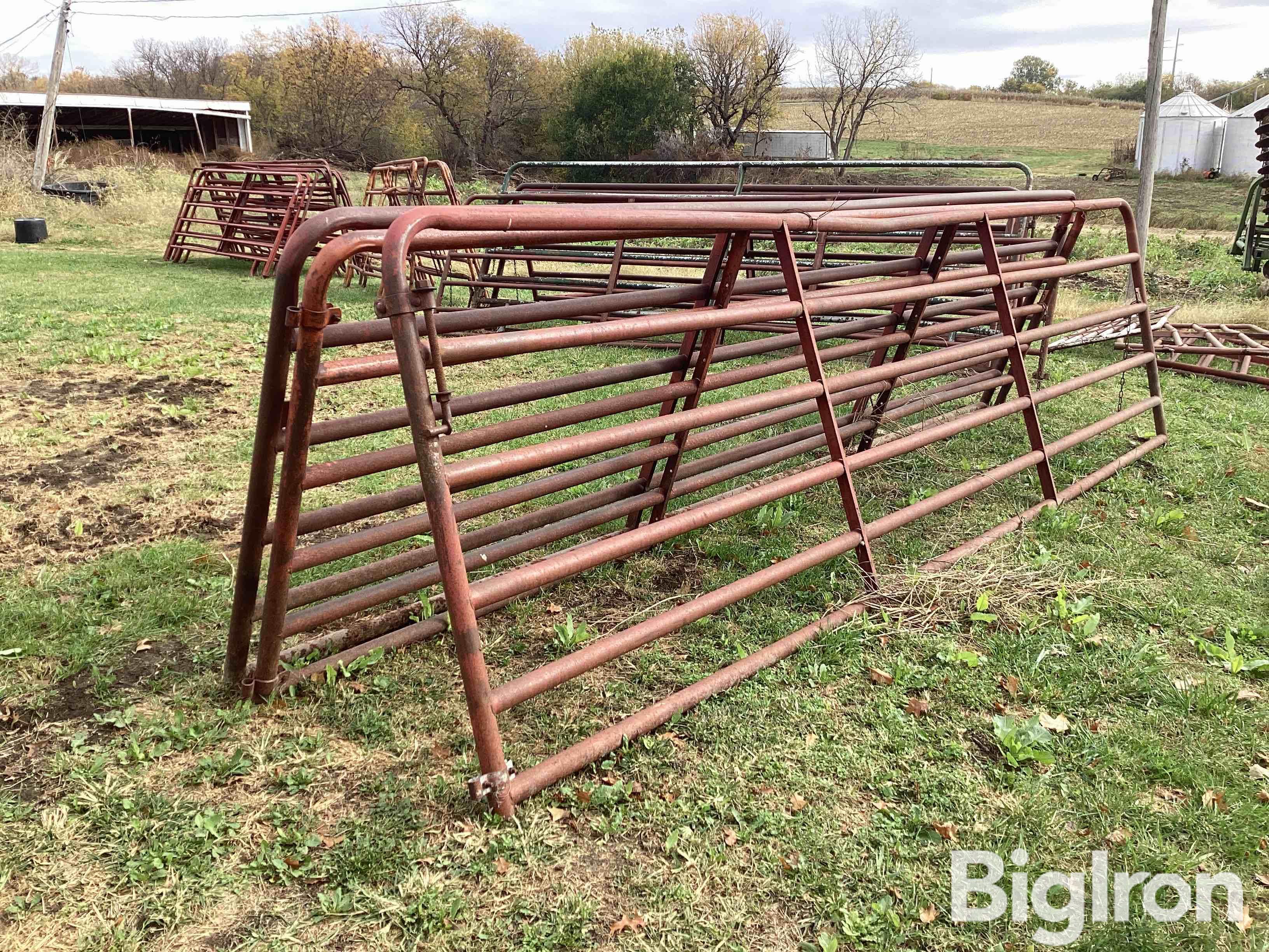 16’ Cattle Panels BigIron Auctions