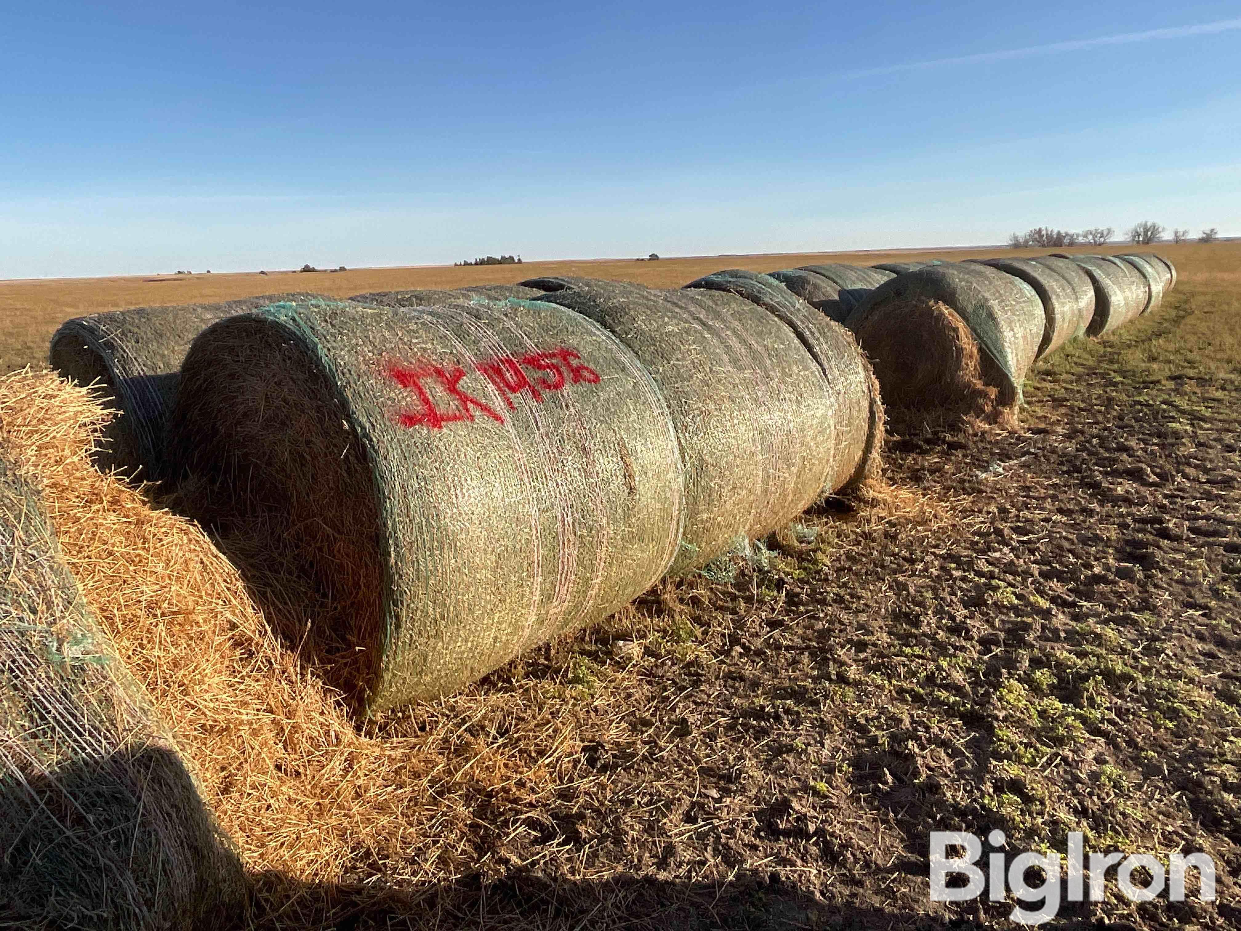 Alfalfa 2nd Cutting Hay Big Round Bales BigIron Auctions