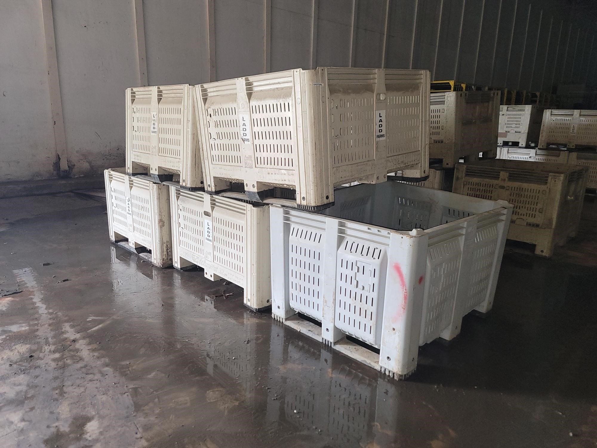 Plastic Vegetable Bins BigIron Auctions   Plasticvegetablebin 8 47fe1ab62c1a491cbfb0cd6ce0808c68 