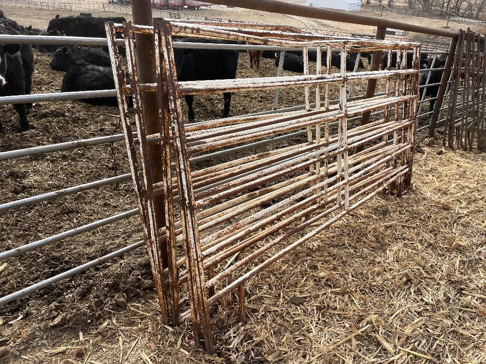 10' Livestock Gates/Panels BigIron Auctions