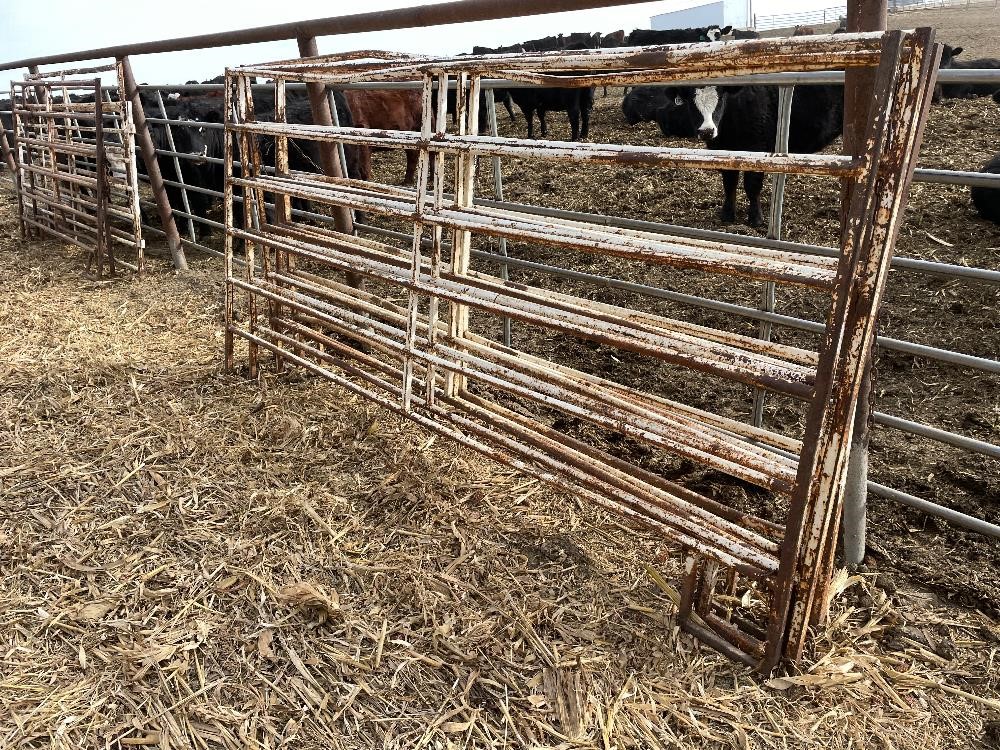 10' Livestock Gates/Panels BigIron Auctions