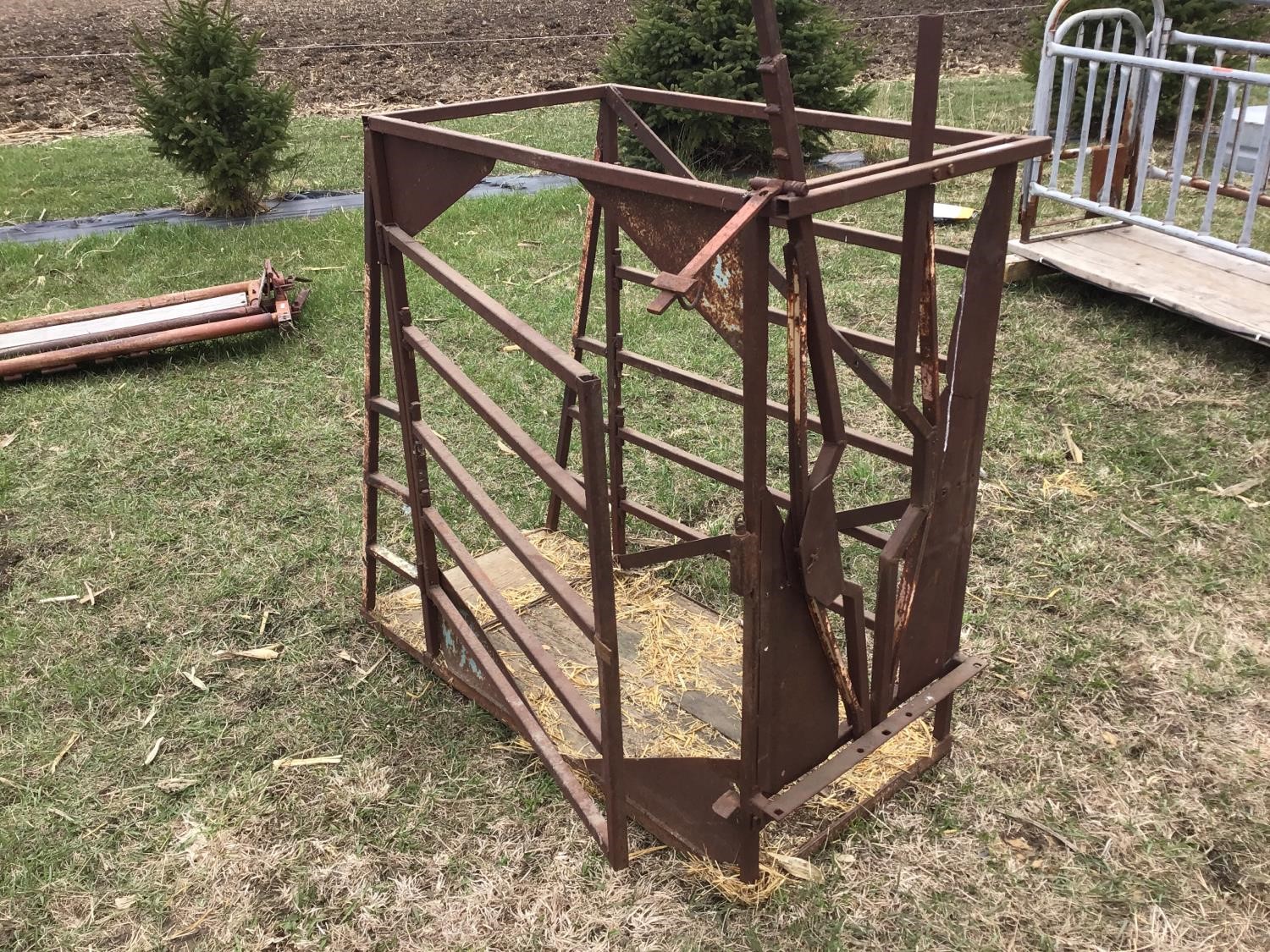 Goat/Sheep Chute BigIron Auctions