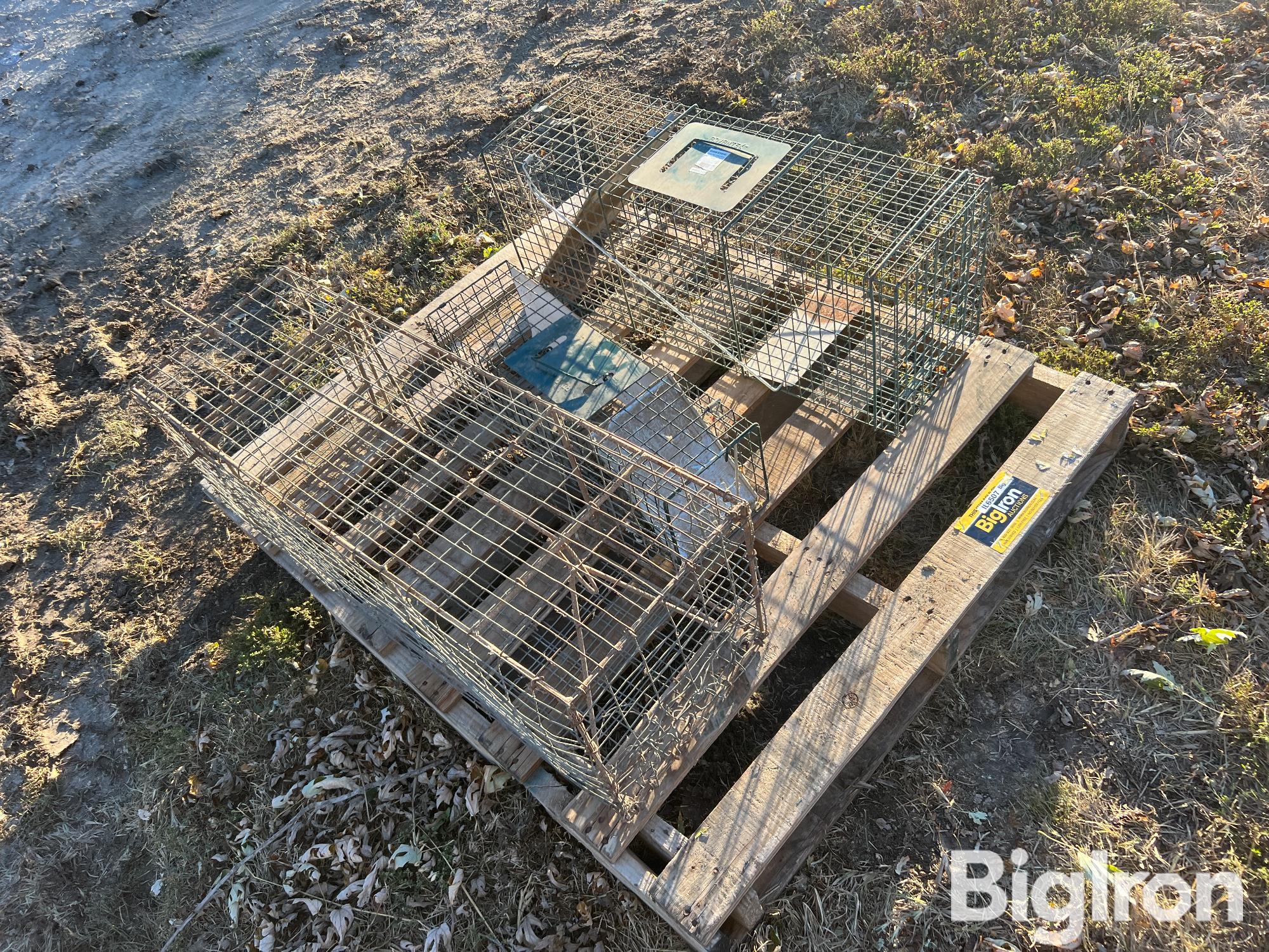 Live Animal Traps BigIron Auctions