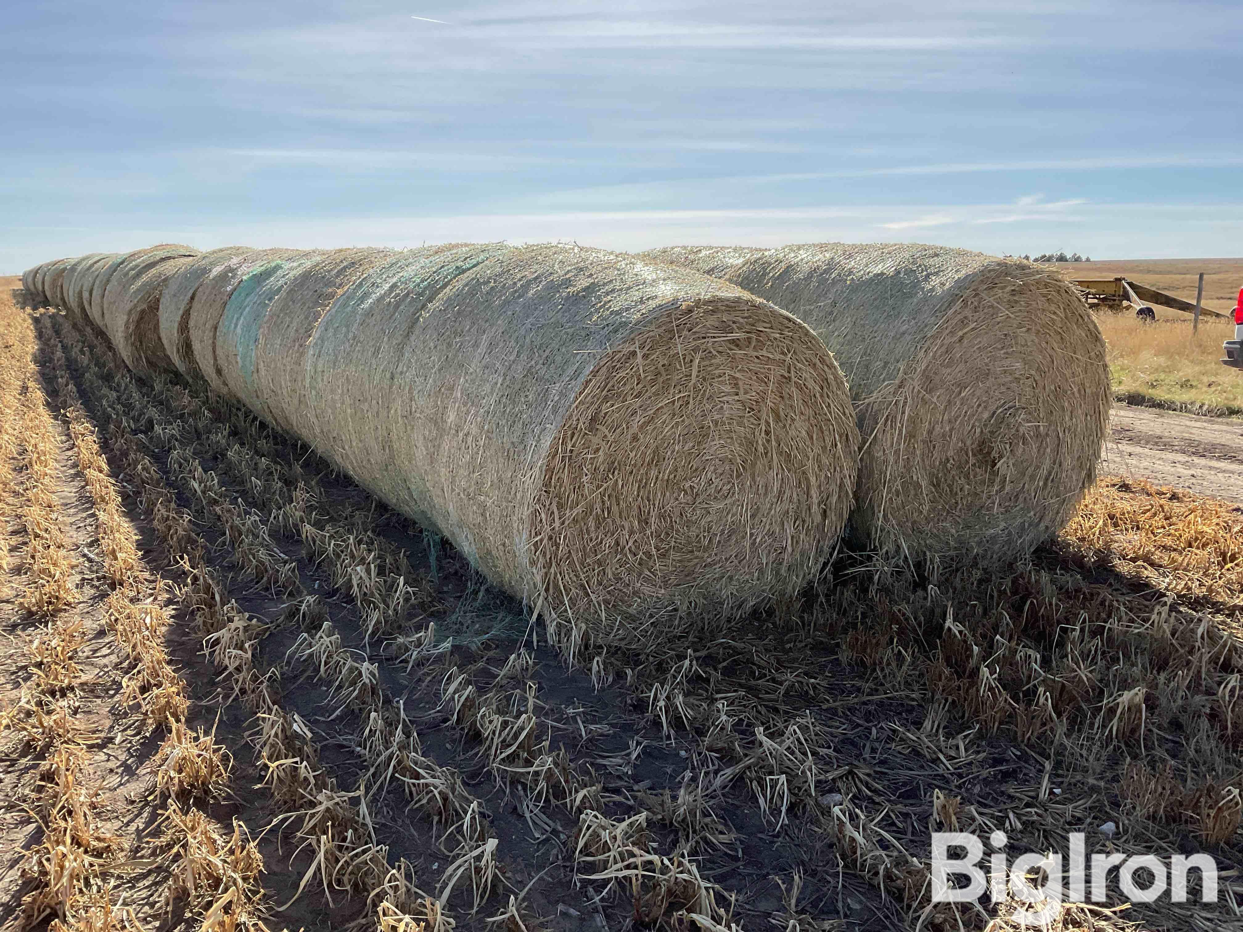 Millet (Forage) Hay Big Round Bales BigIron Auctions