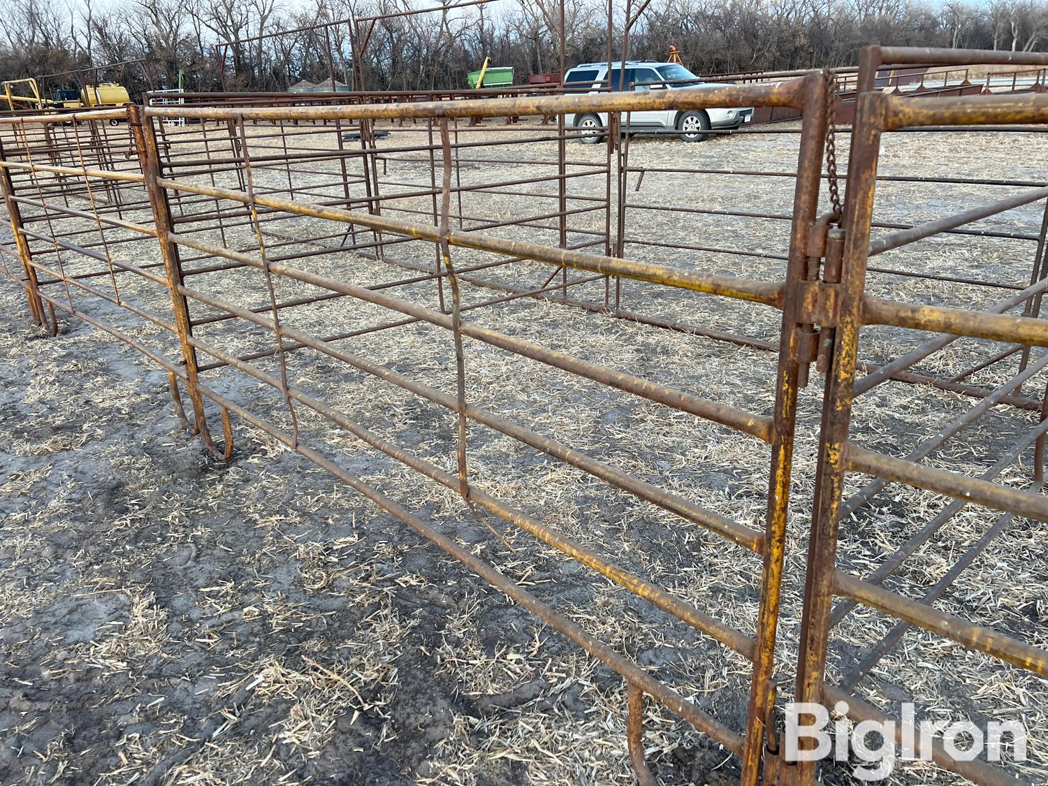 Baasch / Homemade Calving Pens BigIron Auctions