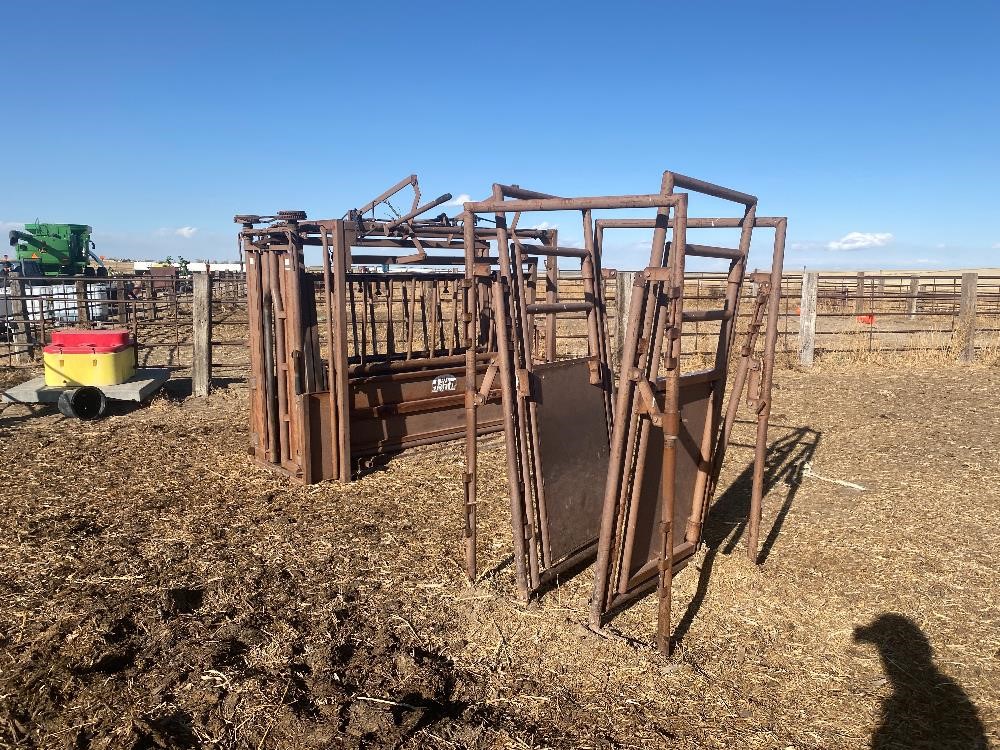 Cattle Chute And Palpation Cage Bigiron Auctions 7138