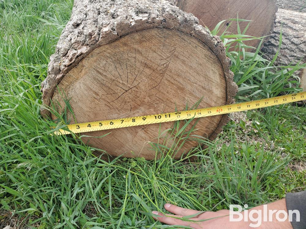 Walnut Logs BigIron Auctions