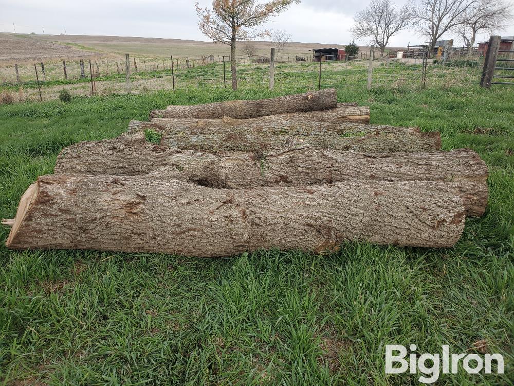 Walnut Logs BigIron Auctions