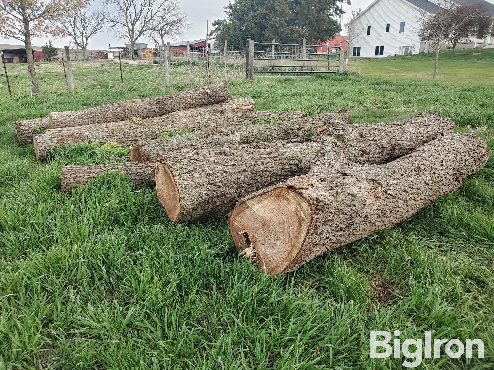 Walnut Logs BigIron Auctions