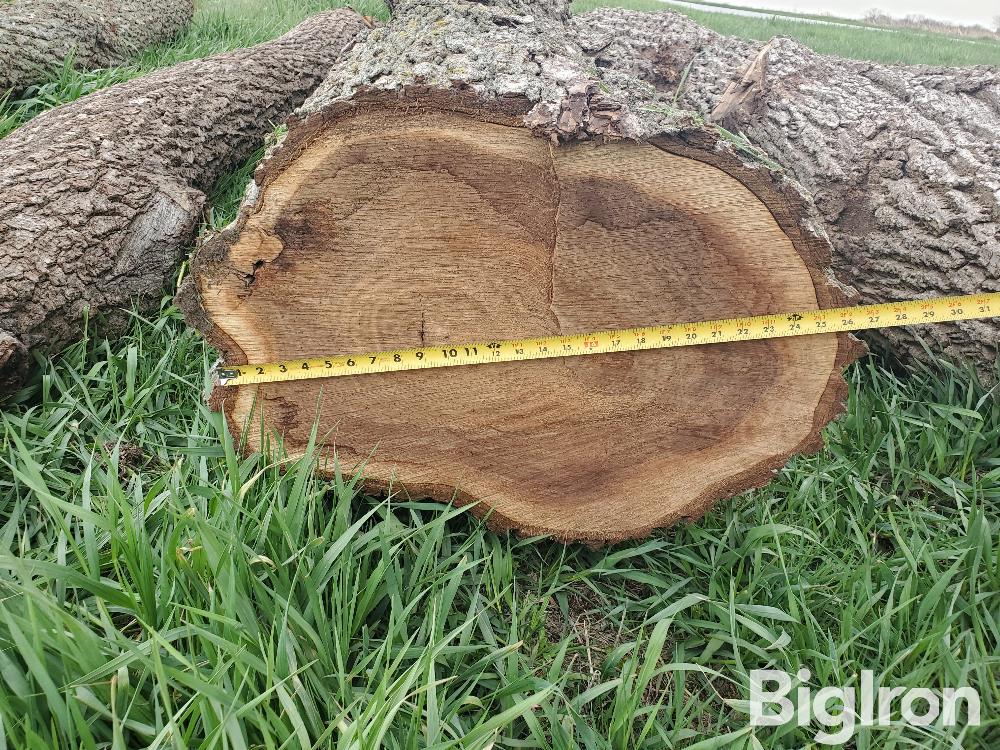 Walnut Logs BigIron Auctions