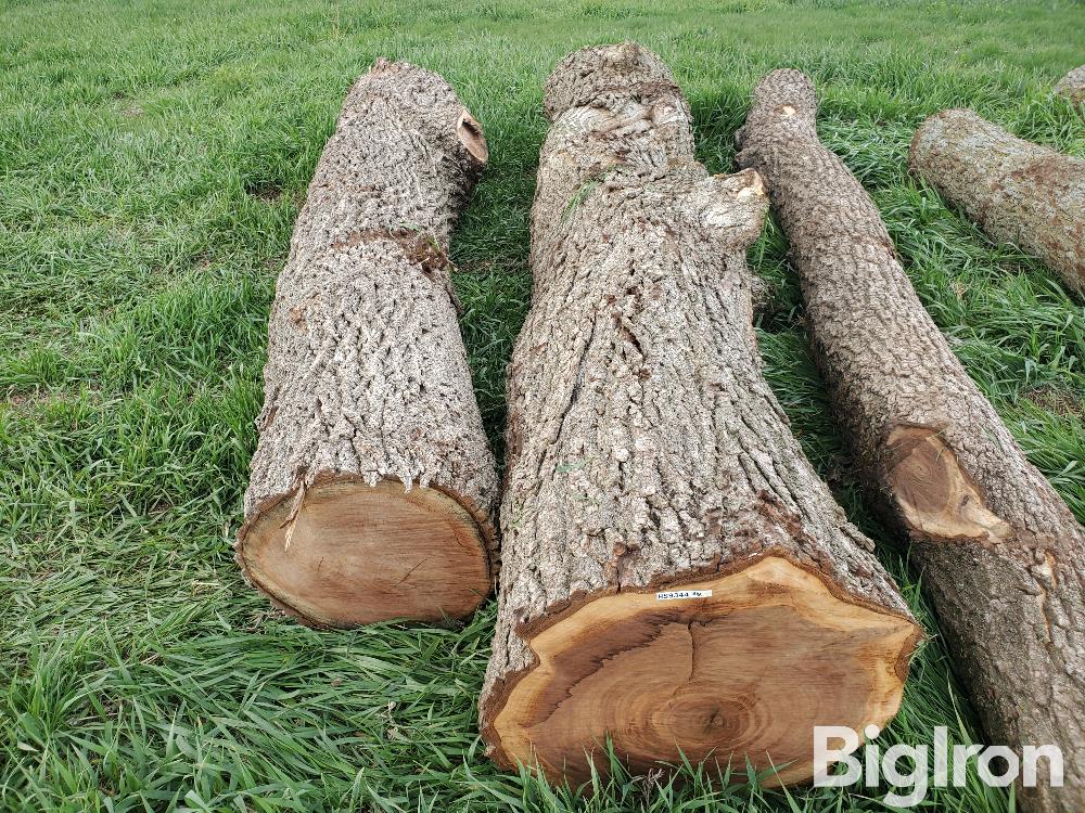 Walnut Logs BigIron Auctions