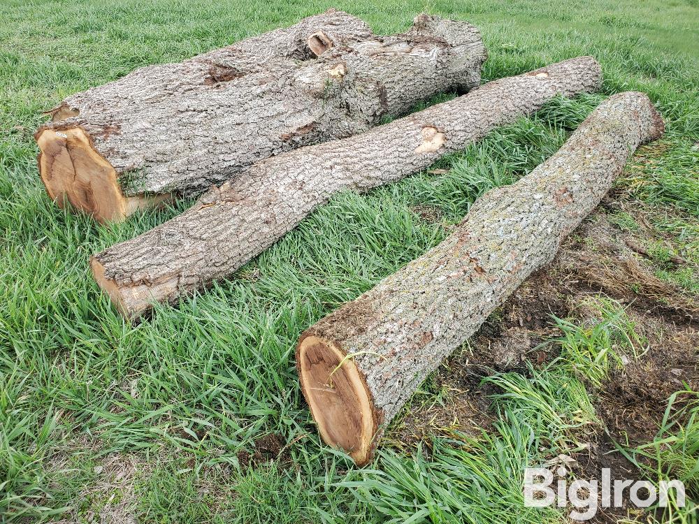 Walnut Logs BigIron Auctions