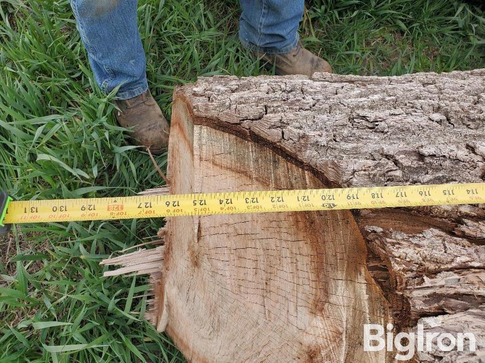 Walnut Logs BigIron Auctions