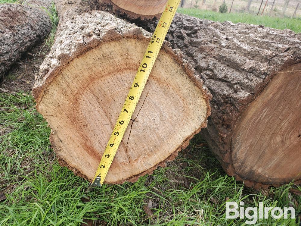 Walnut Logs BigIron Auctions