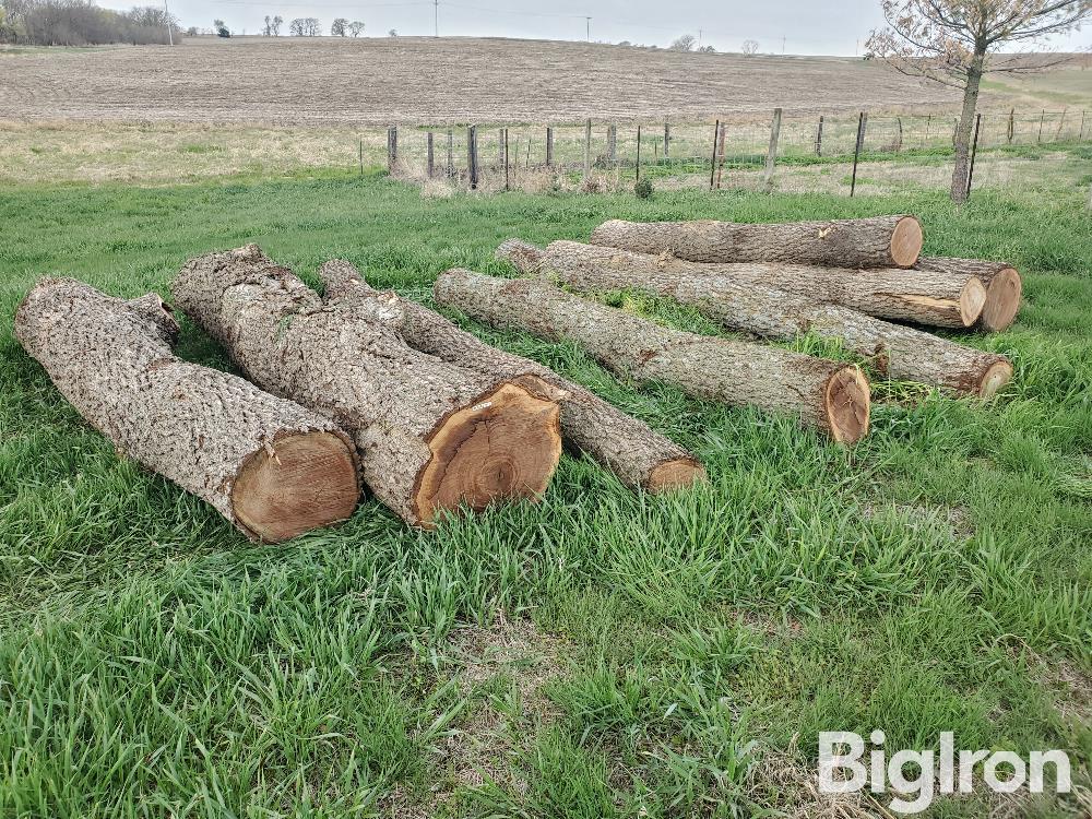 Walnut Logs BigIron Auctions