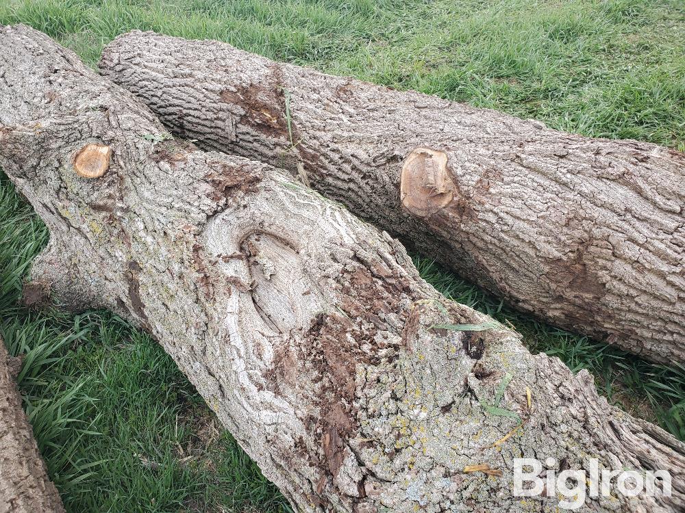 Walnut Logs BigIron Auctions