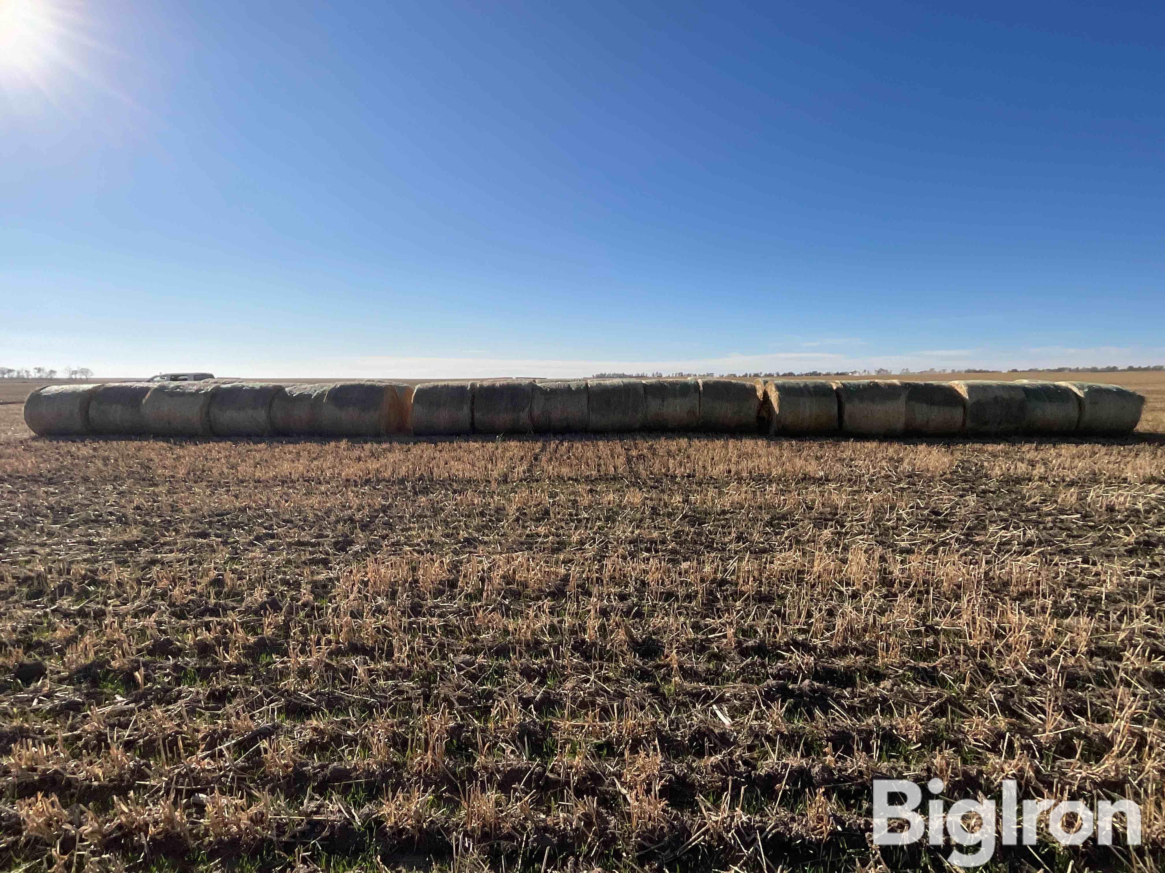 Millet (Forage) Hay Big Rounds BigIron Auctions