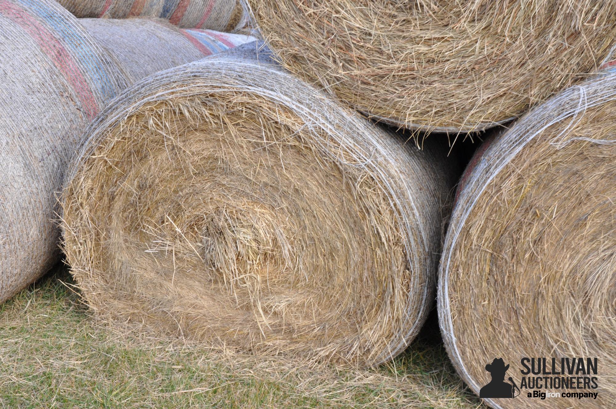 Round Hay Bales BID PER UNIT BigIron Auctions   X27roundhaybales 2 0dc74a94678f4b4a9c586bd78398e834 