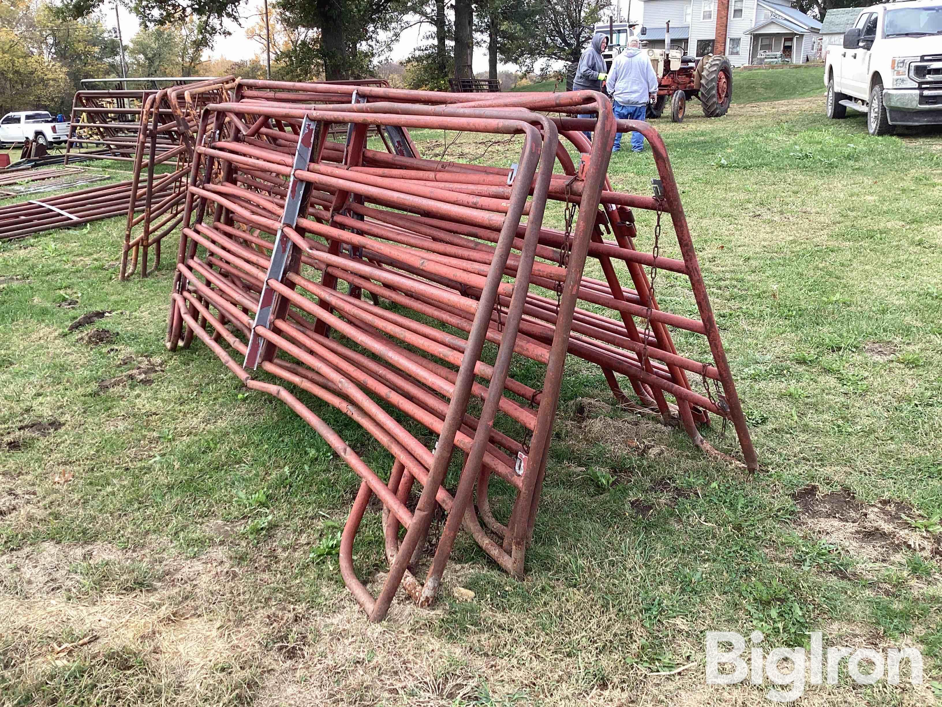 10’ & 12’ Cattle Panels BigIron Auctions