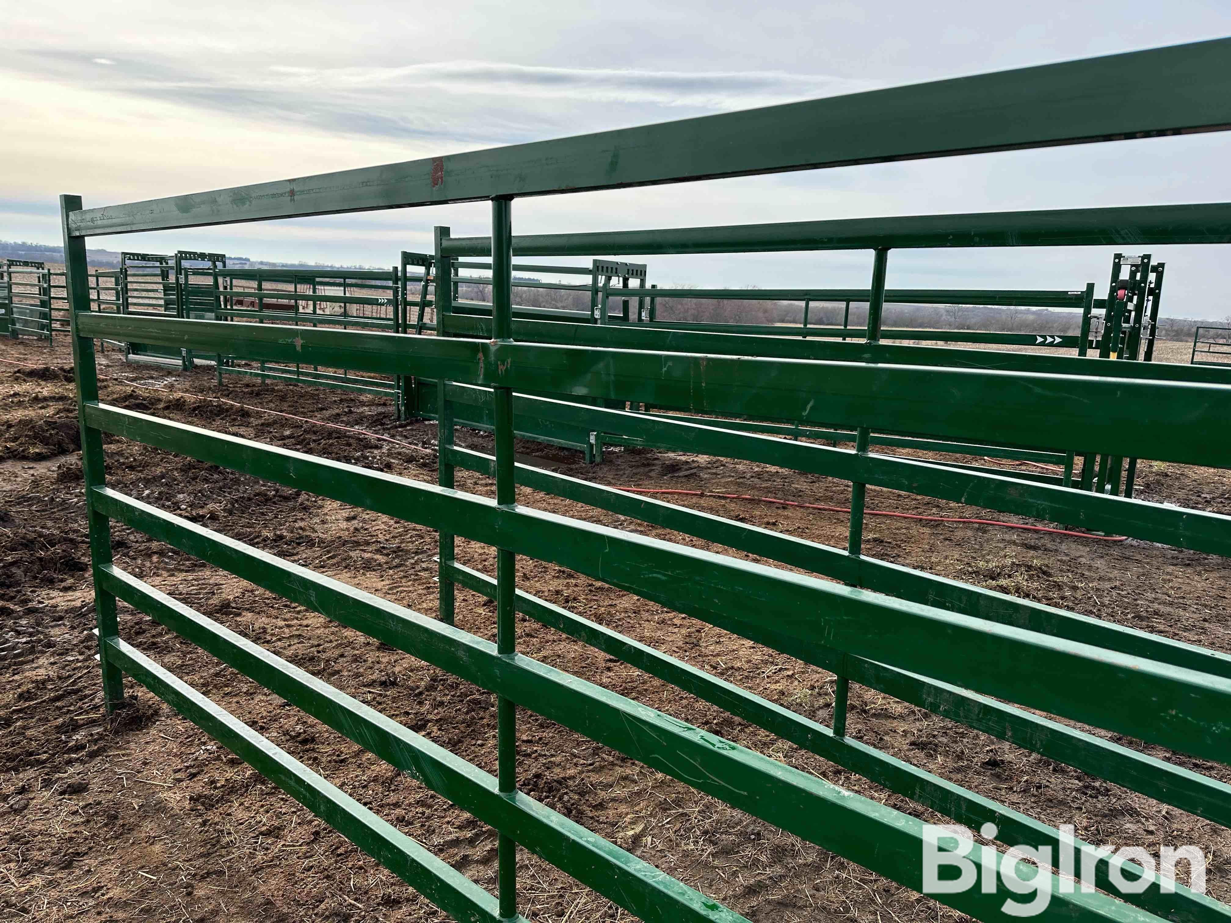 Arrowquip Elite PA14 Cattle Panels BigIron Auctions