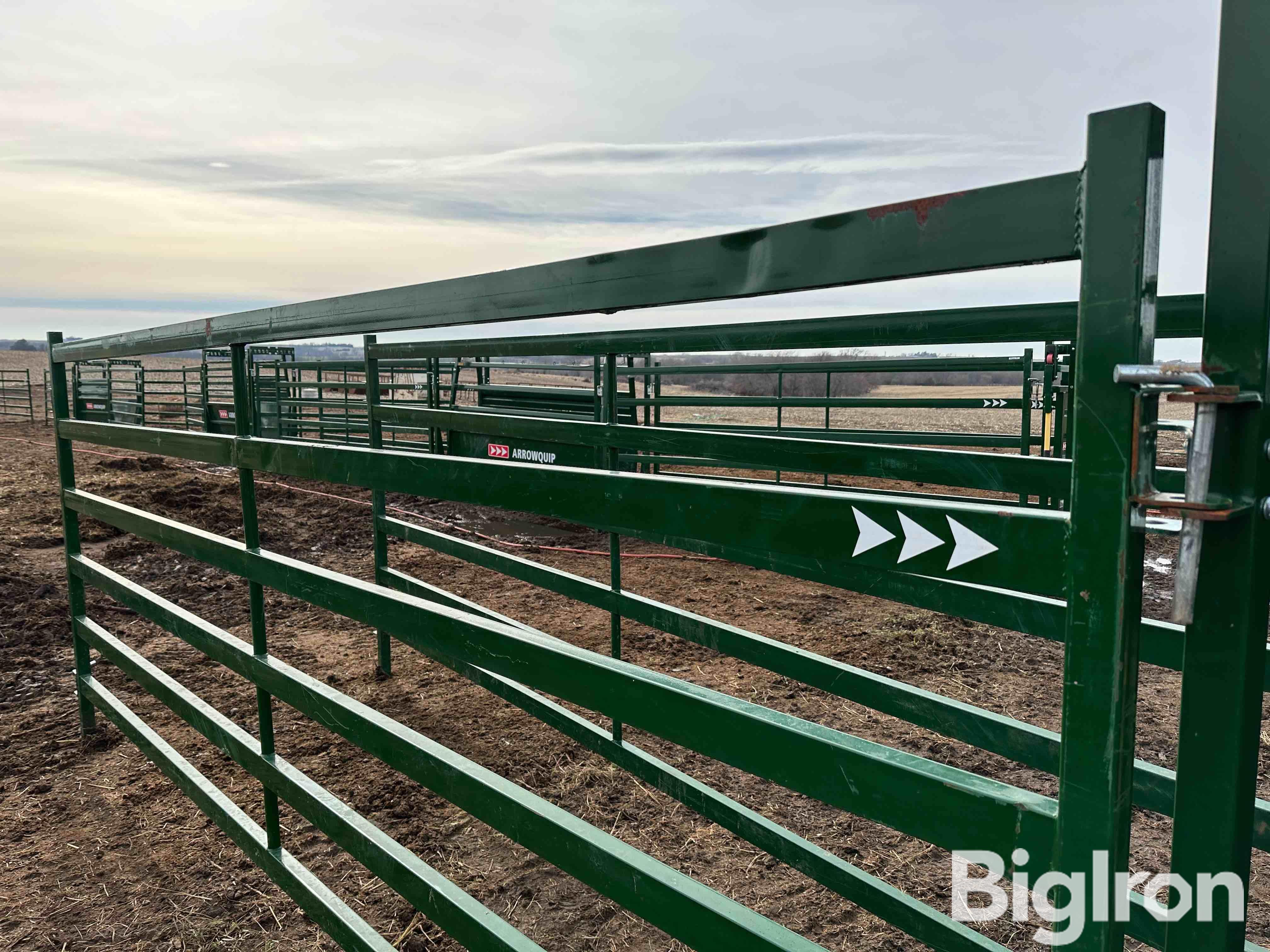 Arrowquip Elite PA14 Cattle Panels BigIron Auctions