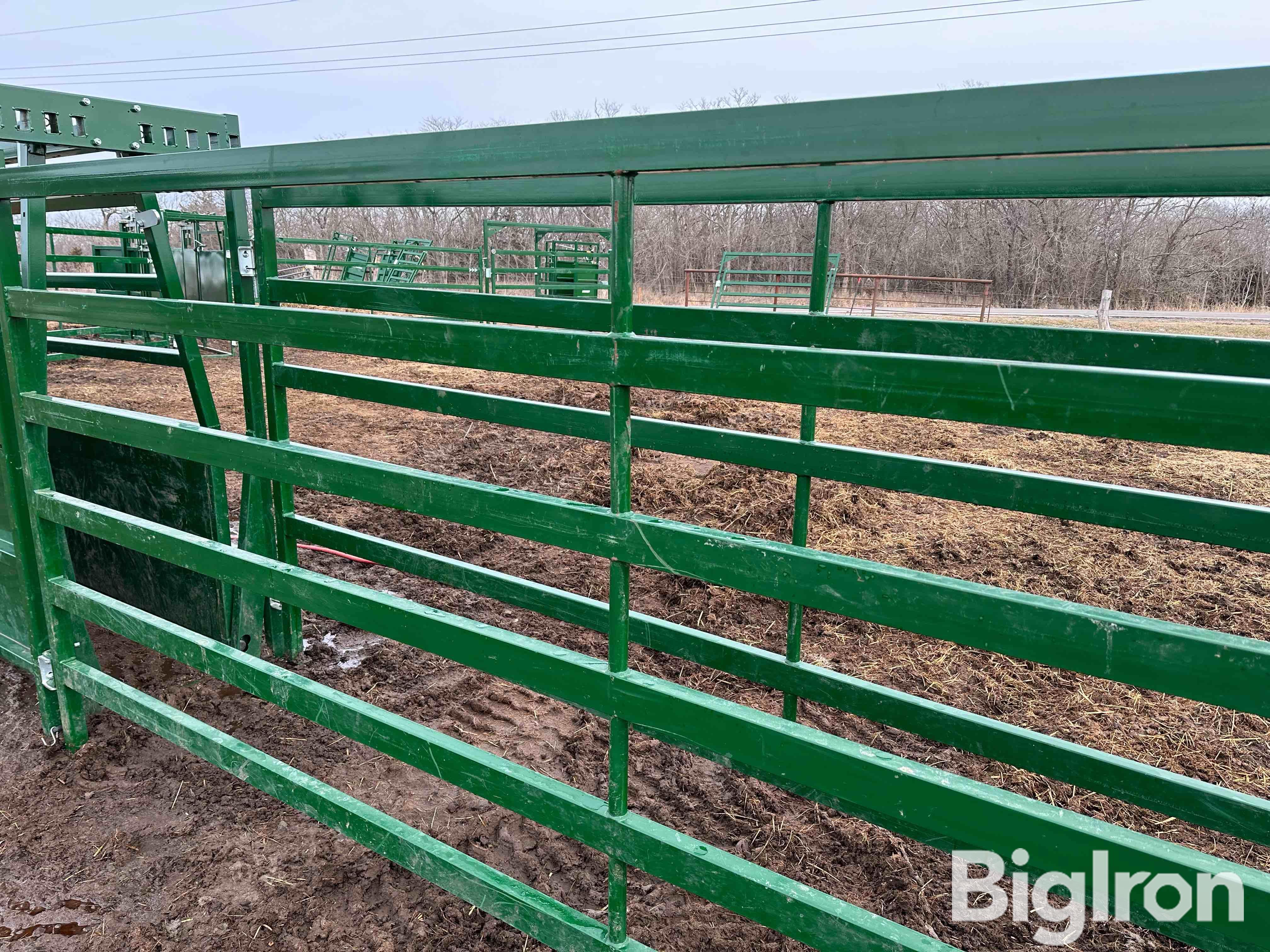 Arrowquip Elite PA14 Cattle Panels BigIron Auctions