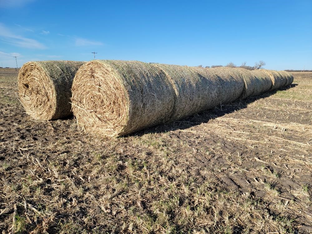 Full Grain Milo Hay Round Bales BigIron Auctions