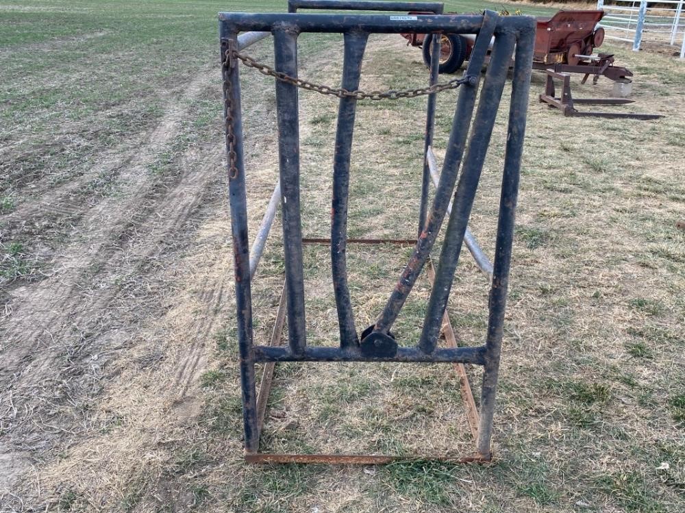 Cattle Grooming Chute BigIron Auctions