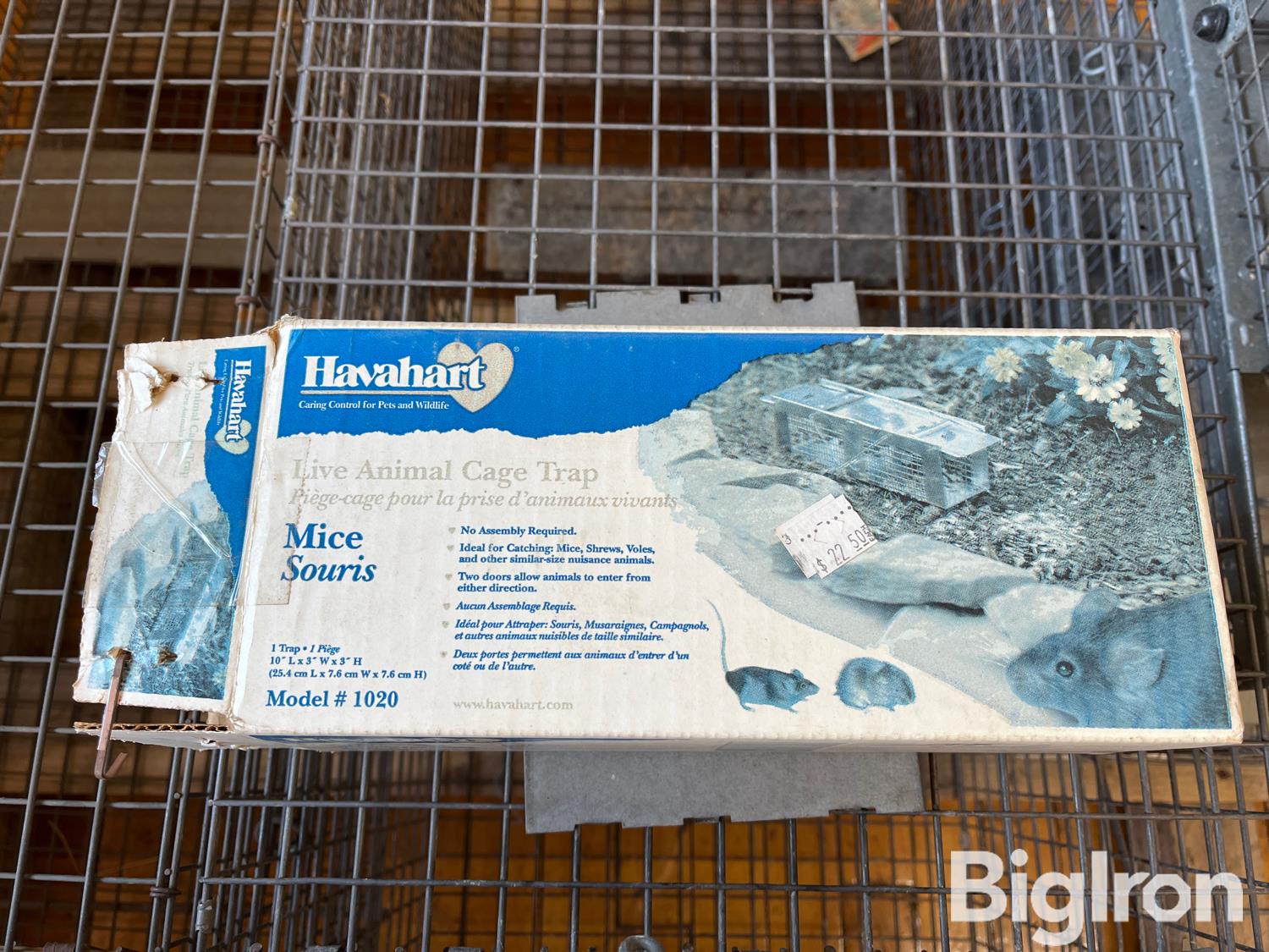 Havahart 1030 Live Animal Cage Traps BigIron Auctions