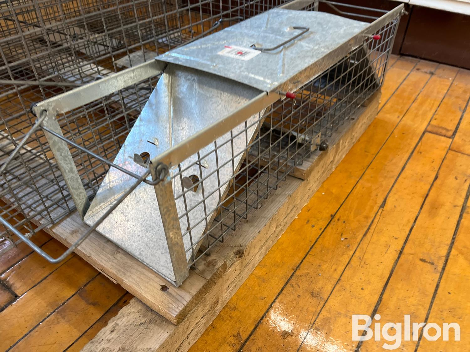 Havahart 1030 Live Animal Cage Traps BigIron Auctions