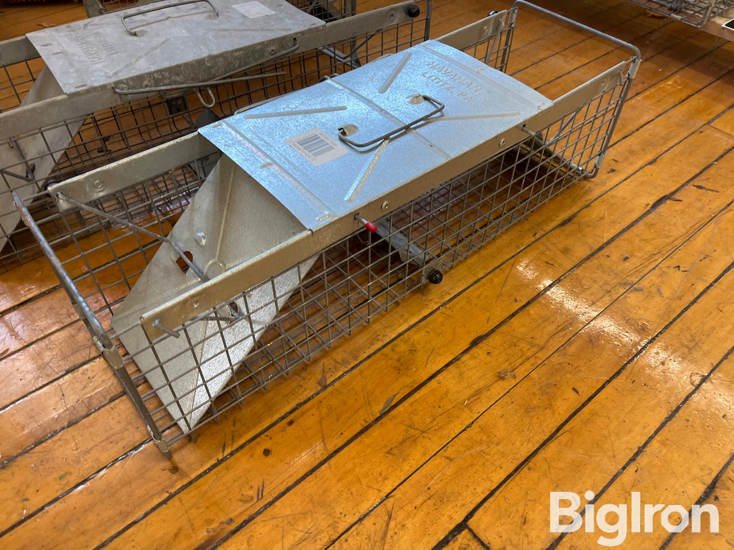 Havahart 1030 Live Animal Cage Traps BigIron Auctions