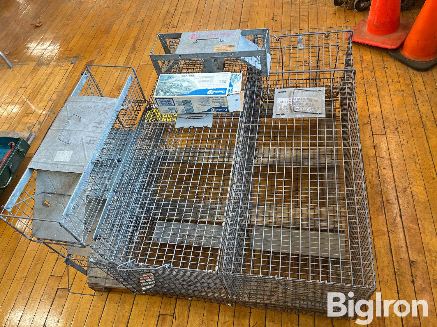 Havahart 1030 Live Animal Cage Traps BigIron Auctions