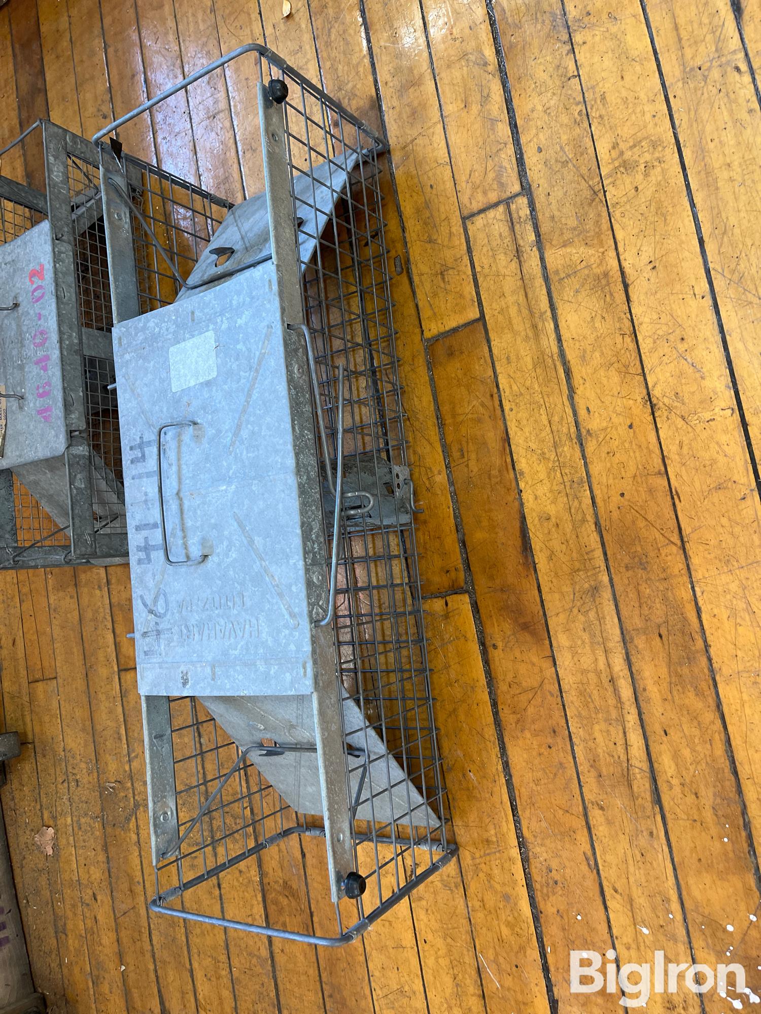 Havahart 1030 Live Animal Cage Traps BigIron Auctions